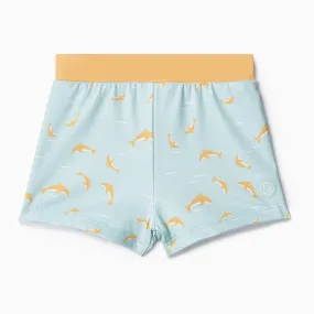 Dolphin Swim Trunks