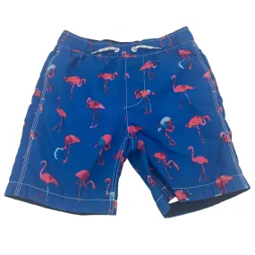 Swim Trunks / Flamingos